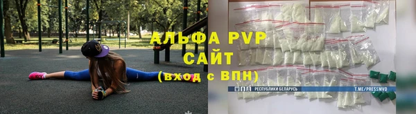 СК Алексин