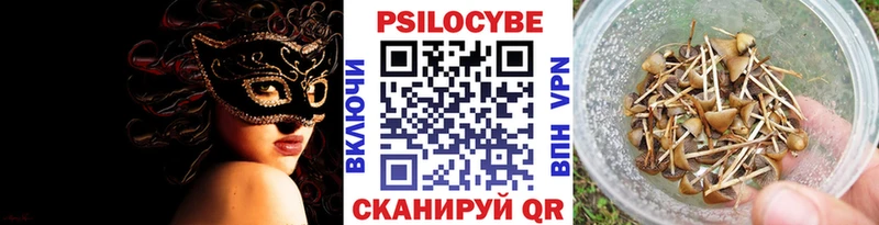 Псилоцибиновые грибы Psilocybine cubensis  Благовещенск 