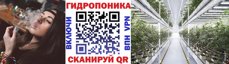 Бошки Шишки сатива Благовещенск